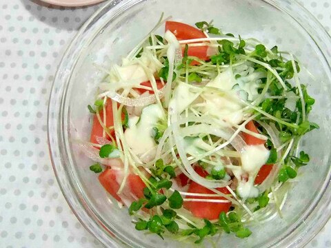 トマトと貝割れ菜のサラダ